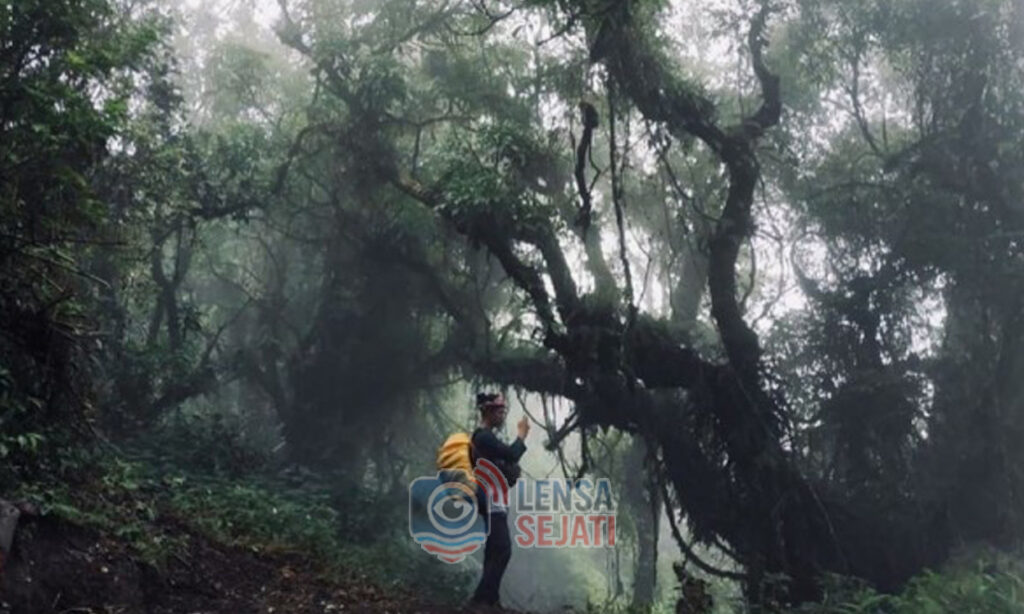 Pendaki di Gunung Salak